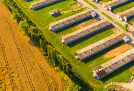 ȫ��������3000�ַ�ˮ��������5000��Ԫ����