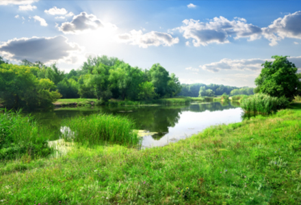 ��ʡ��̬������ӭ����������